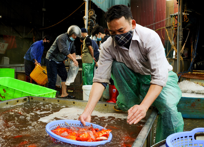 Ghé chợ có nhiều cá chép bậc nhất Hà Nội trước ngày ông Công ông Táo - 7