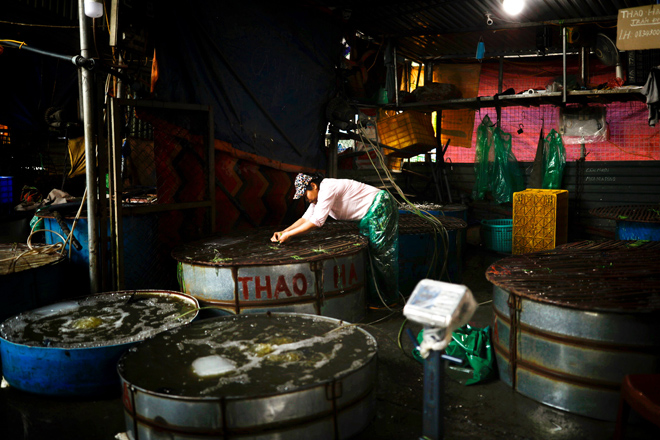 Ghé chợ có nhiều cá chép bậc nhất Hà Nội trước ngày ông Công ông Táo - 9