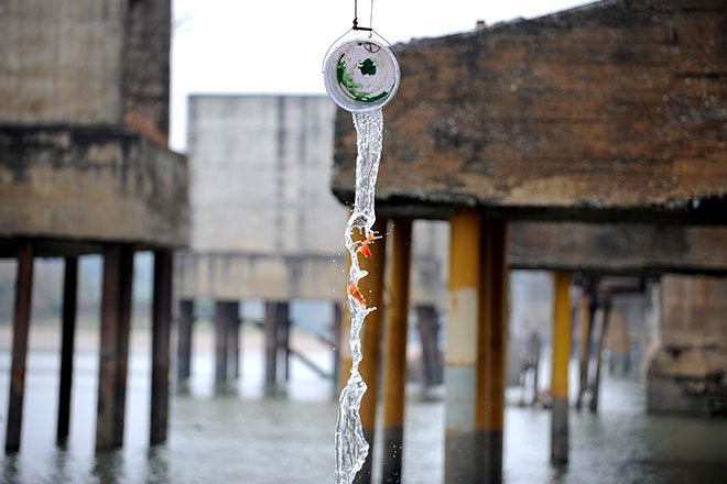 Ảnh: Người Hà Nội thả cá tiễn Táo quân lên thiên đình - 6