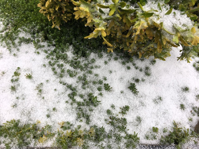 Clip: Mưa tuyết bất ngờ phủ trắng đỉnh Fansipan ngày 27 Tết Tân Sửu - 9