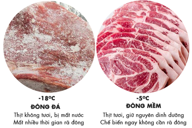 Mua tủ lạnh nào giá 15 triệu đồng cho Tết 2021? - 1