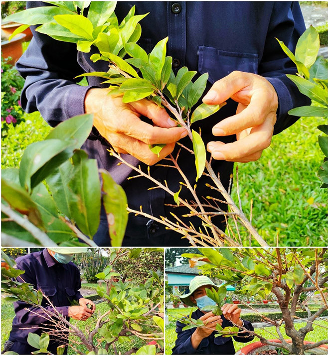 Những người mang hương vị Tết cho Sài Gòn qua ống kính realme 7 - 5