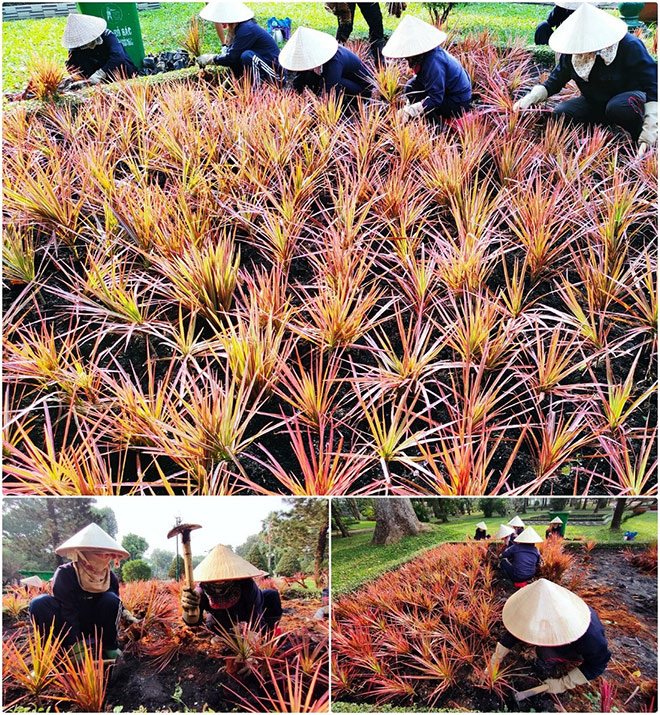 Những người mang hương vị Tết cho Sài Gòn qua ống kính realme 7 - 6