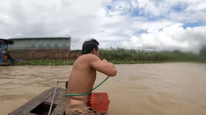 Video: Sướng với cảnh dùng tay không bắt tôm, cá khủng trên sông Hậu - 3