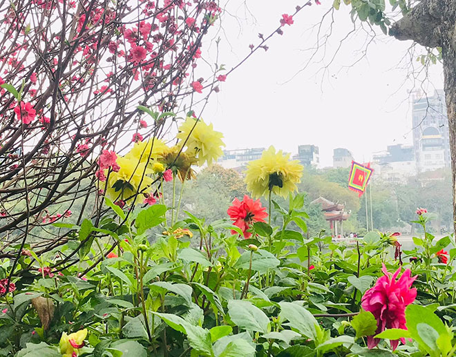 Có một Hà Nội bình yên ngày đầu xuân Tân Sửu - 12