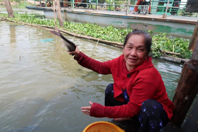 CLIP: Ngỡ ngàng với hàng ngàn con cá cư ngụ ở một bến sông - 2