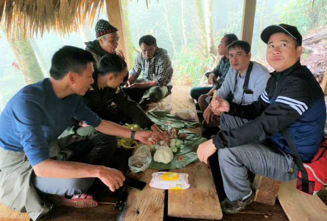 Ngắm rừng sa mu, pơ mu hơn 1.000 năm tuổi giữa đại ngàn - 10
