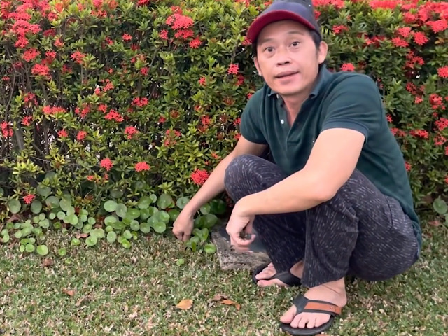 Hoài Linh cầu xin nhân vật này đừng làm hại gia đình mình nữa khiến dân mạng tò mò - 1