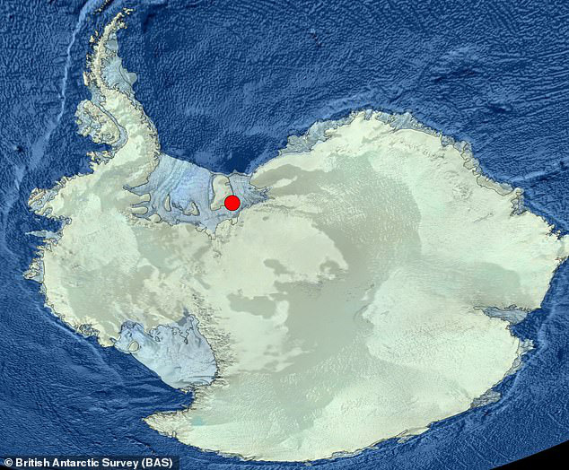 Sinh vật lạ dưới "mộ băng" 900 mét, sống không cần thức ăn, ánh sáng - 3