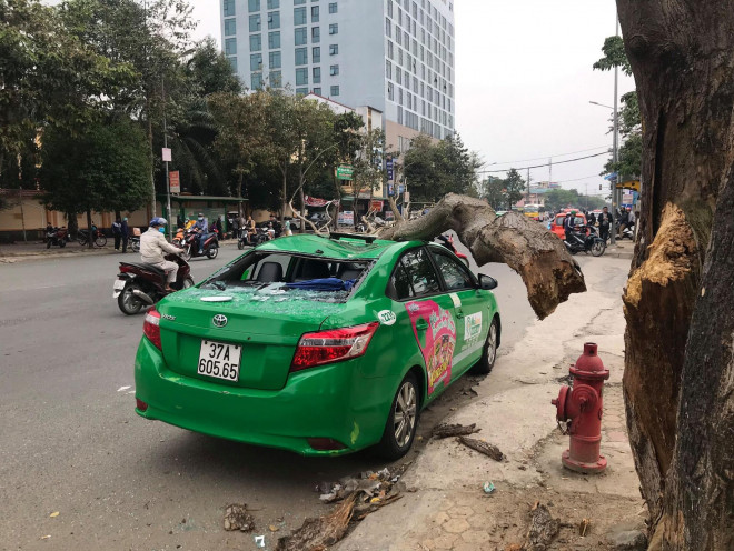 Nam tài xế và khách thoát chết hi hữu khi bị cây xanh gãy đè bẹp xe taxi - 3