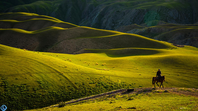 Đồng cỏ tuyệt đẹp ở Trung Quốc được ví như “tấm lưng trần của thiếu nữ” - 9