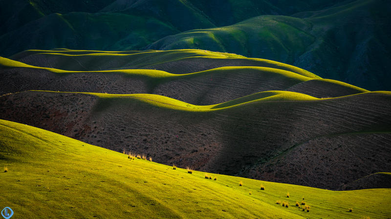 Đồng cỏ tuyệt đẹp ở Trung Quốc được ví như “tấm lưng trần của thiếu nữ” - 10