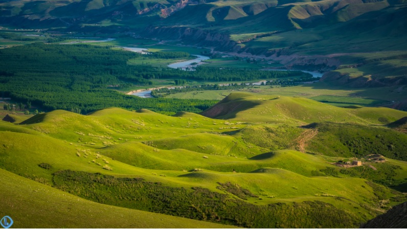 Đồng cỏ tuyệt đẹp ở Trung Quốc được ví như “tấm lưng trần của thiếu nữ” - 2