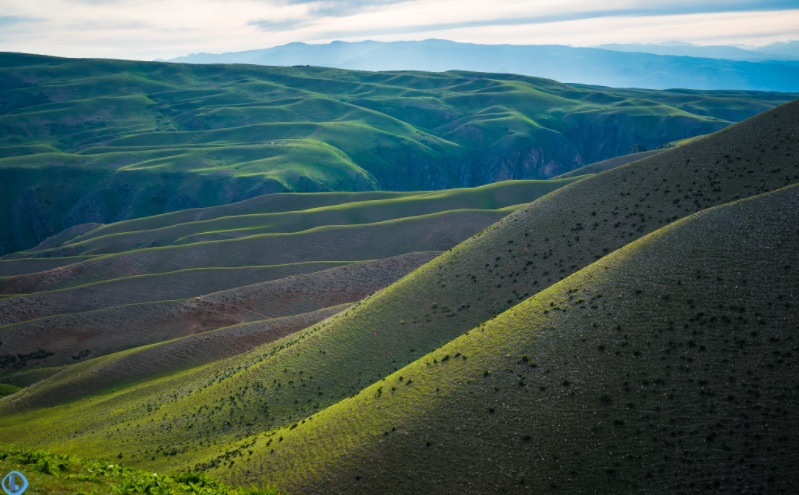 Đồng cỏ tuyệt đẹp ở Trung Quốc được ví như “tấm lưng trần của thiếu nữ” - 3