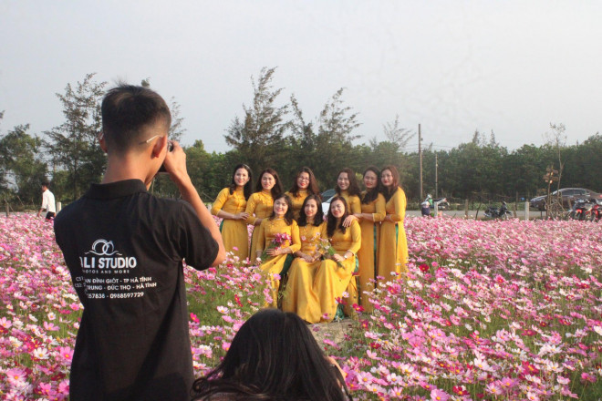 Giới trẻ rủ nhau check-in tại đồng hoa cánh bướm có một không hai ở Hà Tĩnh - 4
