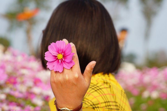 Giới trẻ rủ nhau check-in tại đồng hoa cánh bướm có một không hai ở Hà Tĩnh - 2