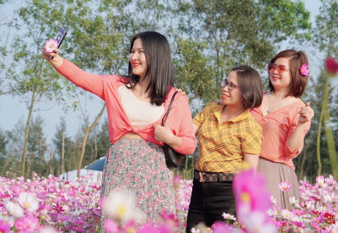 Giới trẻ rủ nhau check-in tại đồng hoa cánh bướm có một không hai ở Hà Tĩnh - 3