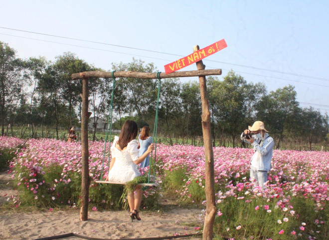 Giới trẻ rủ nhau check-in tại đồng hoa cánh bướm có một không hai ở Hà Tĩnh - 5