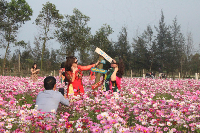 Giới trẻ rủ nhau check-in tại đồng hoa cánh bướm có một không hai ở Hà Tĩnh - 6