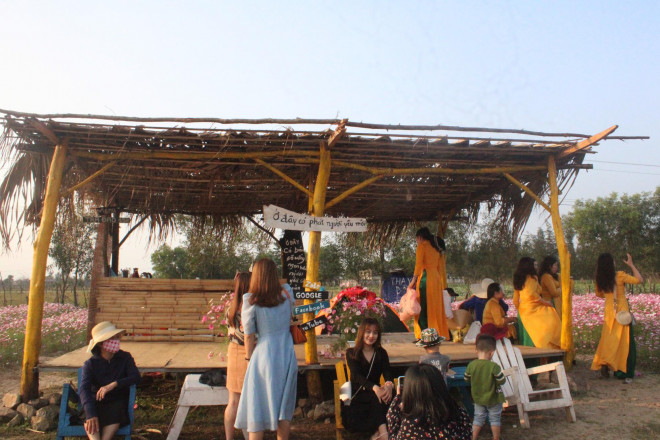 Giới trẻ rủ nhau check-in tại đồng hoa cánh bướm có một không hai ở Hà Tĩnh - 7
