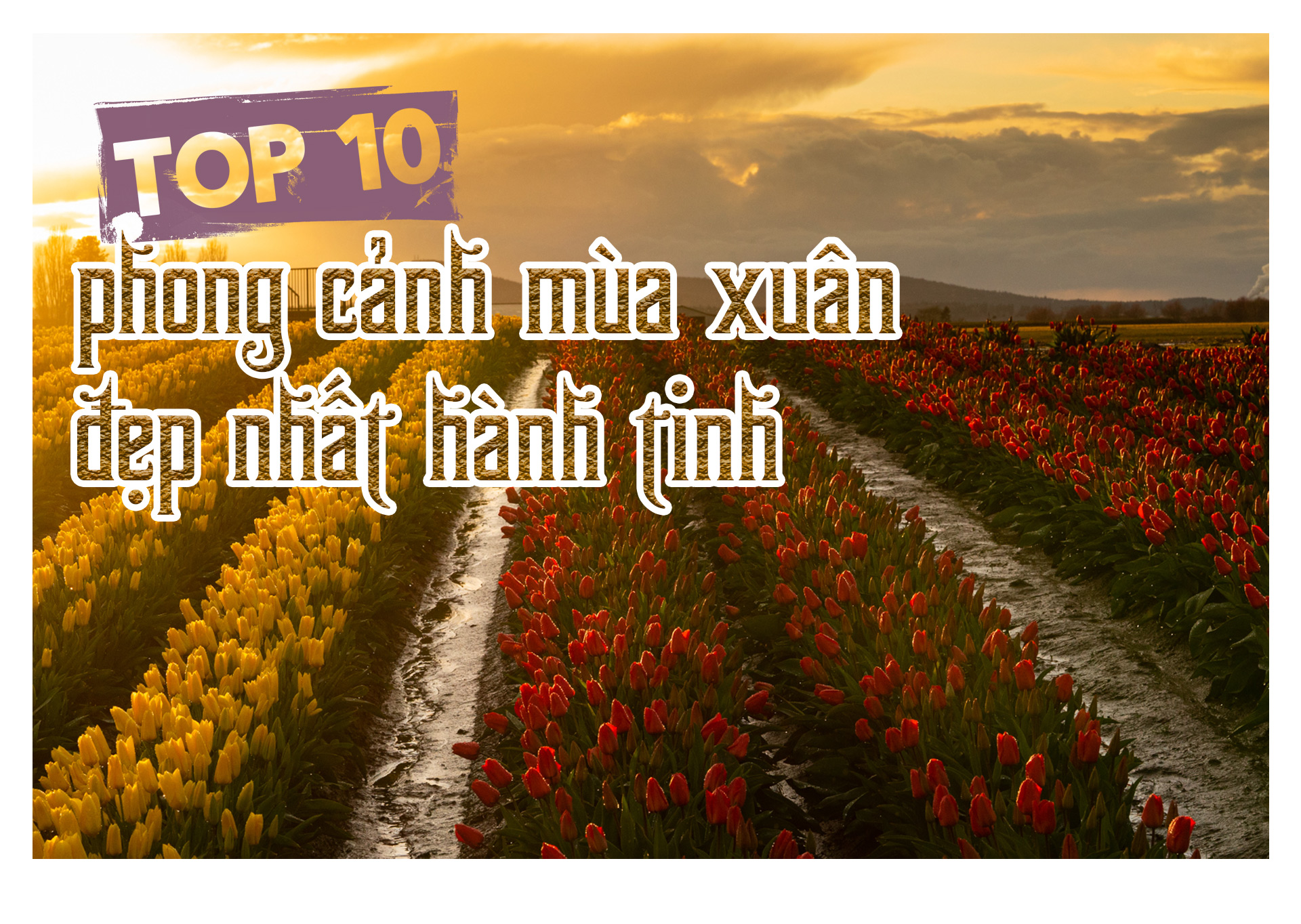 Top 10 phong cảnh mùa xuân đẹp nhất hành tinh
