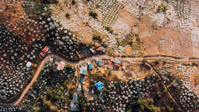 Sơn La đẹp thế này đây: Mê đắm sắc xuân Tây Bắc qua những thước phim đi vào lòng người! - 6