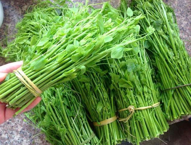 Loại rau dại tên cực xấu nhưng vị ngon, nhiều tác dụng chữa bệnh, lọt top đặc sản Việt Nam - 1