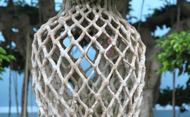 Để có được tác phẩm này, người nghệ nhân tạo hình đã khéo léo nối ghép, khiến 18 nhánh cây vươn lên từ một gốc đan lại với nhau một cách liền mạch như mắt lưới, tuy nhiên không để lại dấu vết nối ghép nào.
