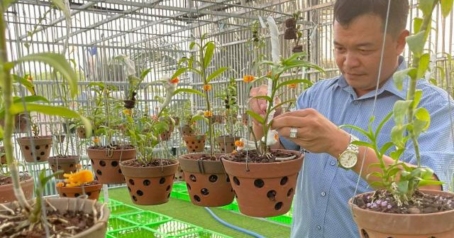Nghệ nhân Minh Tịch: Người chơi lan thời nay cần phải tỉnh táo