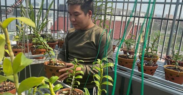 “Báu vật” giữa lòng thủ đô của 8X Vũ Hoàng Anh