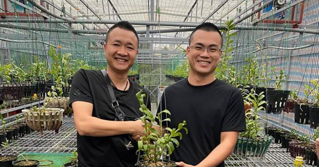 Nghệ nhân Hoàng Hữu Trung chia sẻ bí quyết chăm sóc lan hoàng hậu