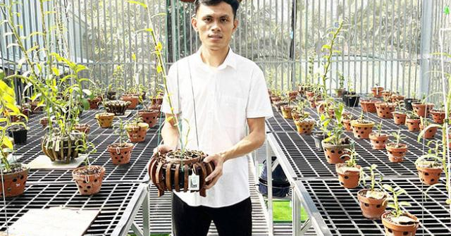 Chàng trai trẻ Trần Khánh Mãi đam mê với nghề trồng lan
