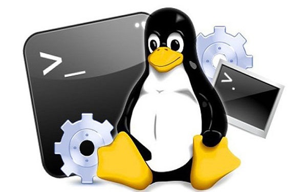 Hệ điều hành Linux là gì? Ưu, nhược điểm, cách cài đặt và sử dụng - 1