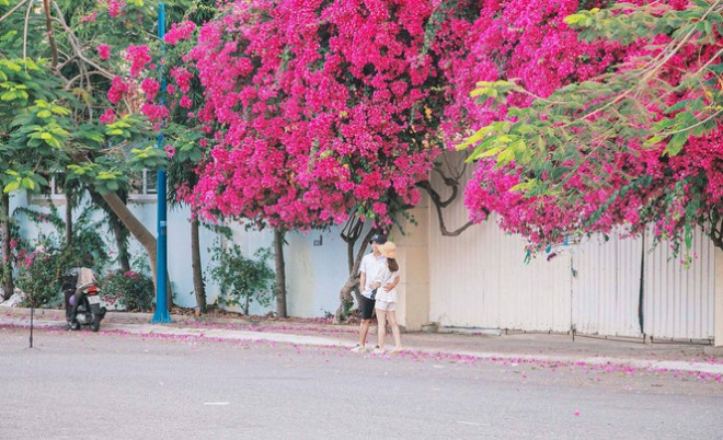 Teen Vũng Tàu hẹn hò nhau đi chụp hình check-in tại con đường hoa giấy đẹp ná thở - 3