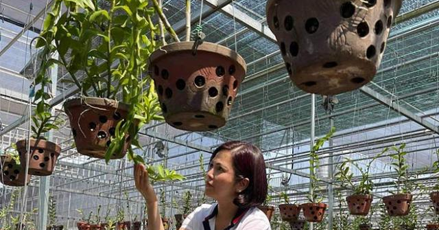 Nghệ nhân Thủy Royal: Vườn lan hiện tại là món quà mà cuộc sống ban tặng