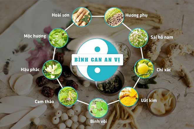 “Bình Can - An Vị” - Bài thuốc quý cho người trào ngược dạ dày thực quản - 4