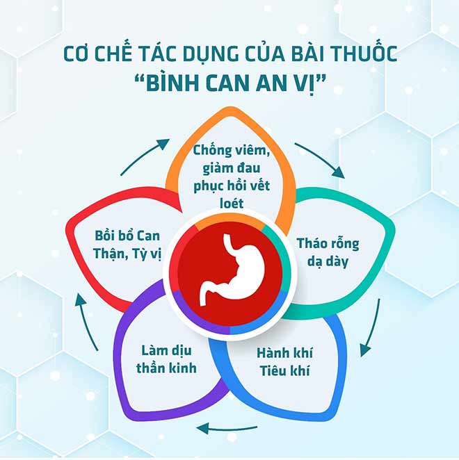 “Bình Can - An Vị” - Bài thuốc quý cho người trào ngược dạ dày thực quản - 5