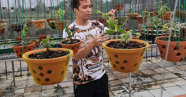 Nghệ nhân Trương Cường chia sẻ kinh nghiệm chăm sóc hoa lan