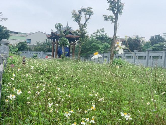 Công trình Văn Miếu gần 80 tỉ ở Hà Tĩnh xây xong không có đường vào - 9