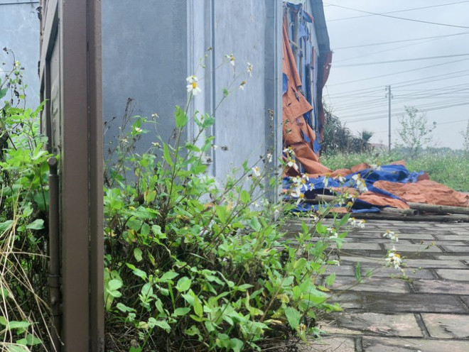 Công trình Văn Miếu gần 80 tỉ ở Hà Tĩnh xây xong không có đường vào - 11