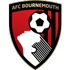 Trực tiếp bóng đá Bournemouth - Southampton: Thế trận an bài (Hết giờ) - 1