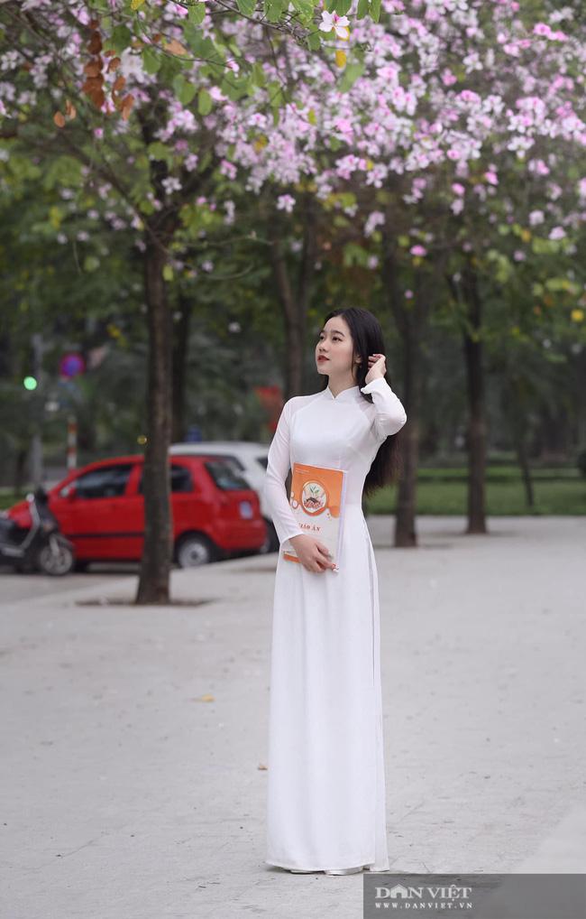 Hà Nội: Hoa ban nở rộ, giới trẻ đua nhau "khoe sắc" trên phố Bắc Sơn, Hoàng Diệu - 6