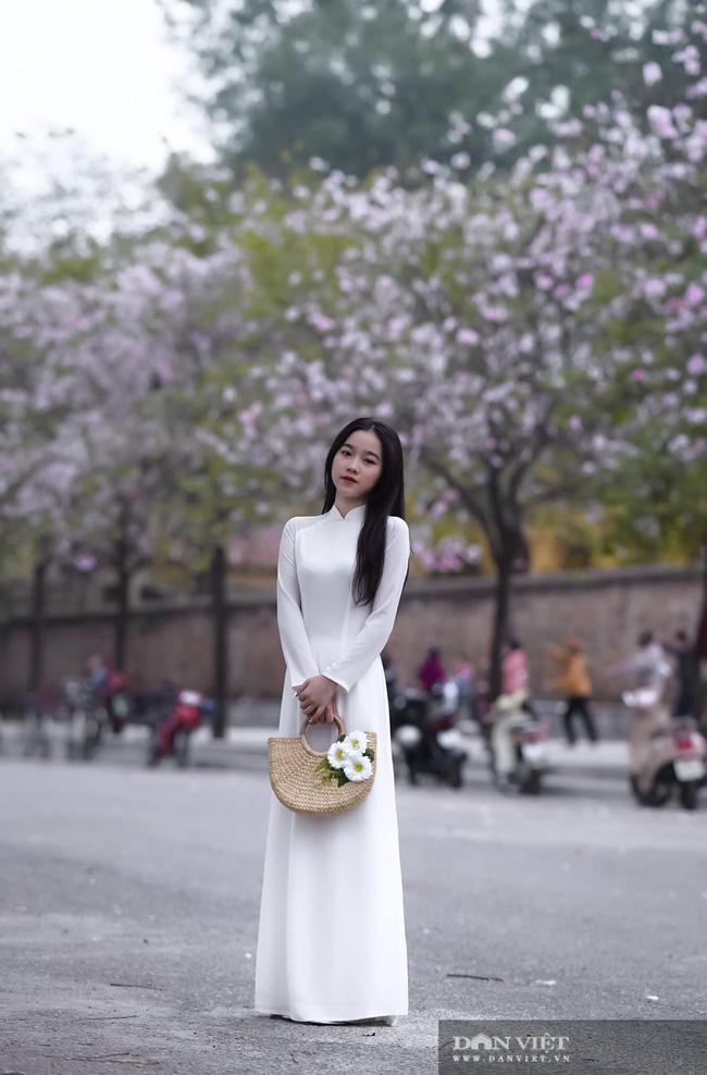 Hà Nội: Hoa ban nở rộ, giới trẻ đua nhau "khoe sắc" trên phố Bắc Sơn, Hoàng Diệu - 7