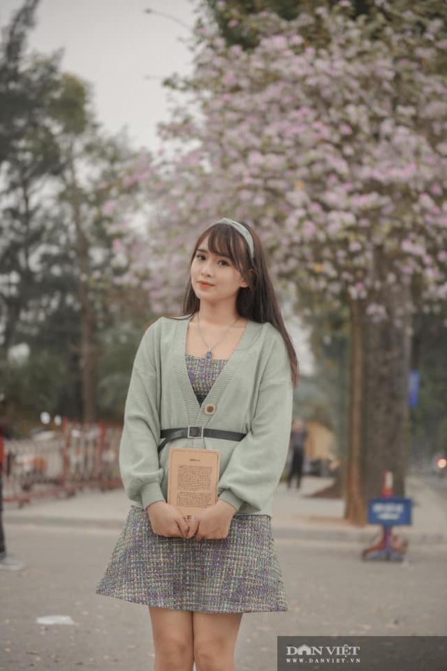 Hà Nội: Hoa ban nở rộ, giới trẻ đua nhau "khoe sắc" trên phố Bắc Sơn, Hoàng Diệu - 8