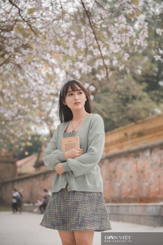 Hà Nội: Hoa ban nở rộ, giới trẻ đua nhau "khoe sắc" trên phố Bắc Sơn, Hoàng Diệu - 9