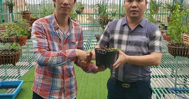 Chủ vườn lan Chung Lê: “Sự độc đáo và nét riêng biệt của hoa lan khiến tôi si mê”