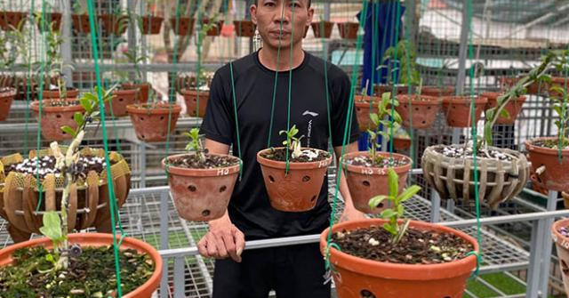 Nghệ nhân Nguyễn Đăng Thỏa và chặng đường thành công của chàng trai 8X