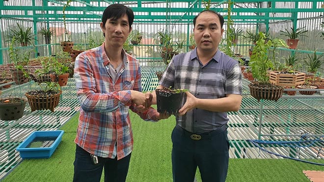 Chủ vườn lan Chung Lê: “Sự độc đáo và nét riêng biệt của hoa lan khiến tôi si mê” - 2