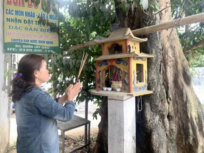 Cả làng góp tiền cứu 'cụ gạo' hơn 200 tuổi ở xứ Nghệ - 3