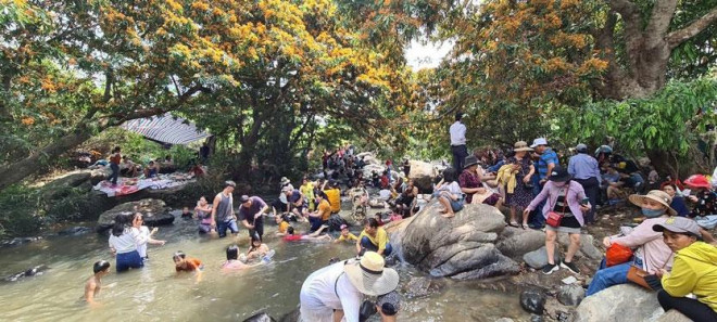 Hoa trang rừng phủ kín suối Tà Má - 3